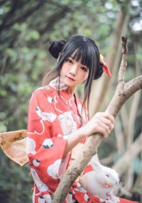 上阵父子兵全集播放
