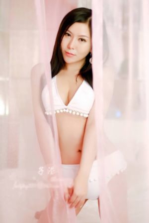 树先生免费观看全集